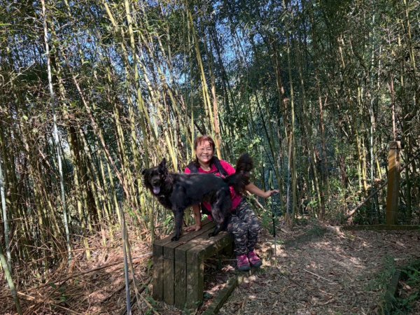雙崎埋伏坪山歩道、鯉魚潭水庫、大峽谷2938938