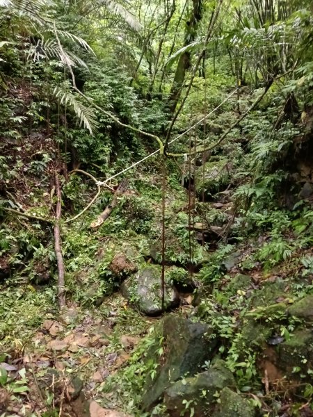 平溪區三功大厝+番子坑山+千階嶺步道O型2781123