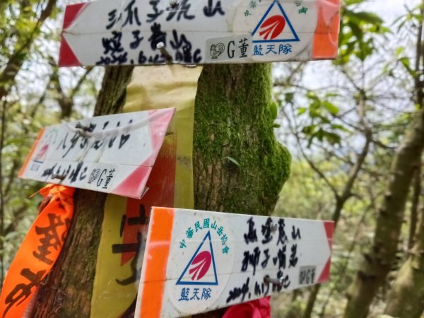 蛇子形古道+柴寮古道2754240