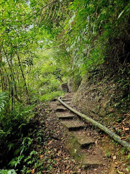 騎龍古道 - 2024森遊竹縣皮皮獅Hike客任務2555336