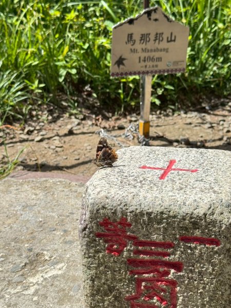2025/6/28馬那邦山2823643