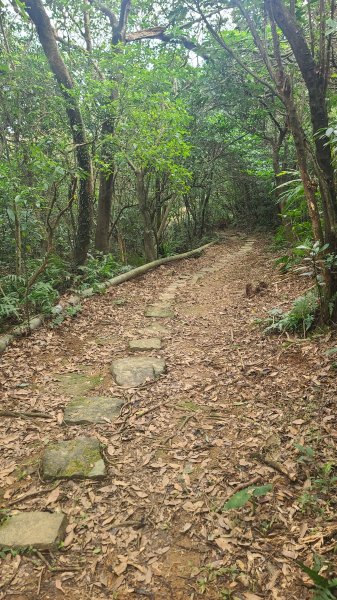 2025-01232淡蘭古道北二段(燦光寮古道到澳底)2696689