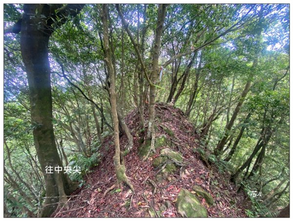平溪中央尖、慈恩嶺、東勢格步道 O型一圈3072480