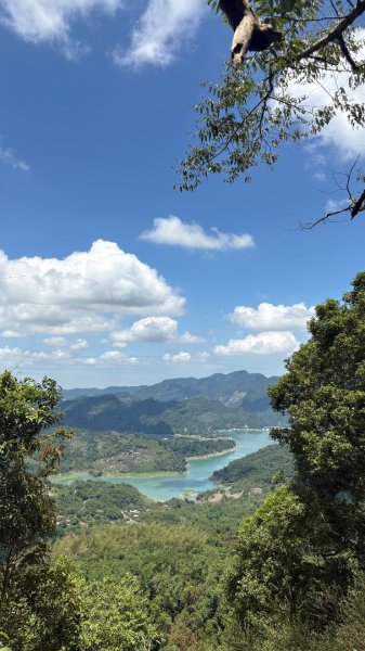 三腳南山2799604