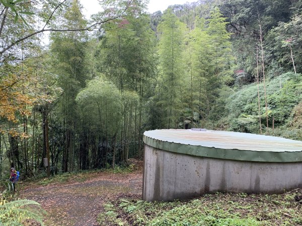 20251220嘉義凸龜山-芙蓉山-天福山2973859