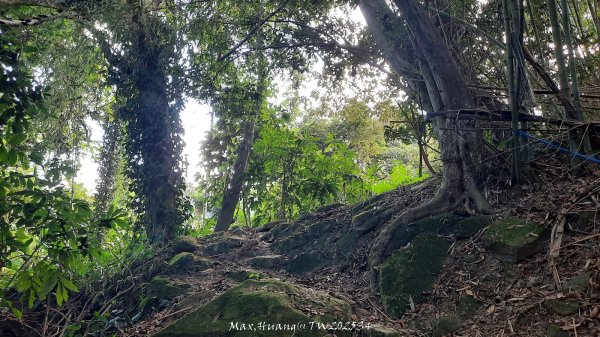 《南投》古道巡禮｜八通關古道社寮線蜈蚣崙段202511152937054
