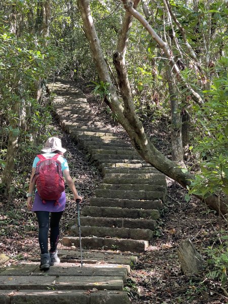 草嶺古道-大溪線-桃源谷-虎字碑-草嶺古道-福隆2591651