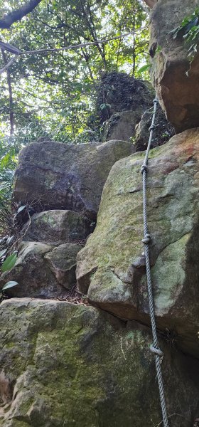 2026_01_18_探索你的後花園@土城2985001