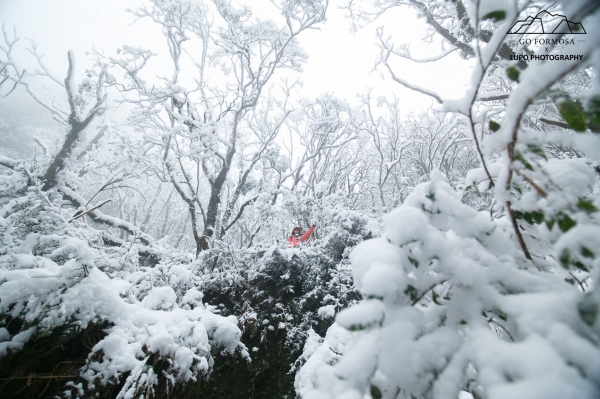 【攝野紀】夢幻般的雪中松蘿湖264523