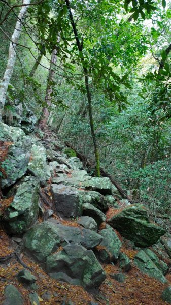 坡很陡的波津加山(老四)1834981
