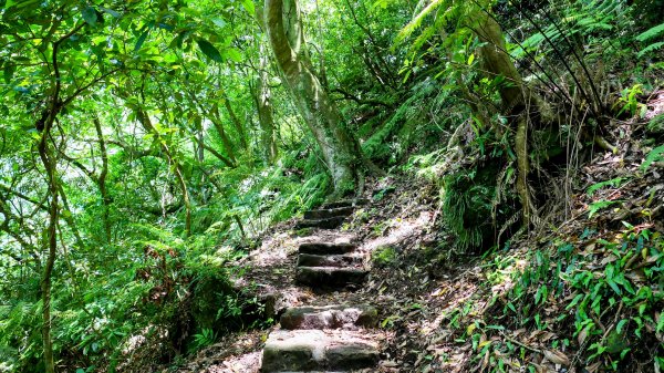 猴崁古道。盧特訪積2773272