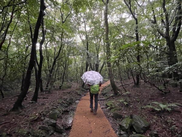 1140811 KR 漢拏山杜鵑花田避難所-紗羅岳觀景臺2860089