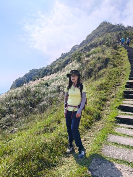 草嶺古道2025 芒花季2932028