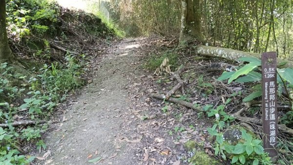 20251004 馬那邦山 - 珠湖 登山口2904907