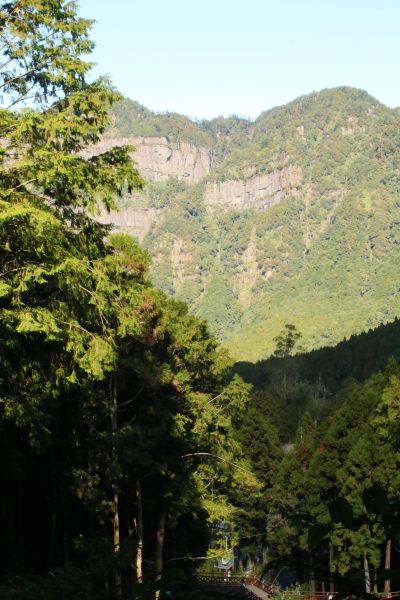 水山線巨木步道202874