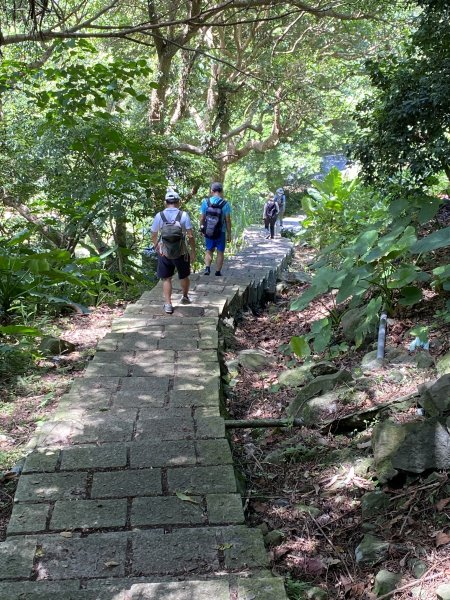 《陽明山秘境健行｜翠峰瀑布 × 天母古道 夏日涼爽路線》2852207