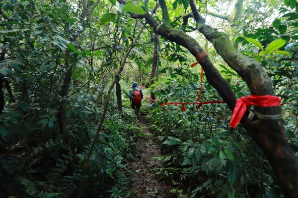 篳路藍縷之直潭山系縱走1233173