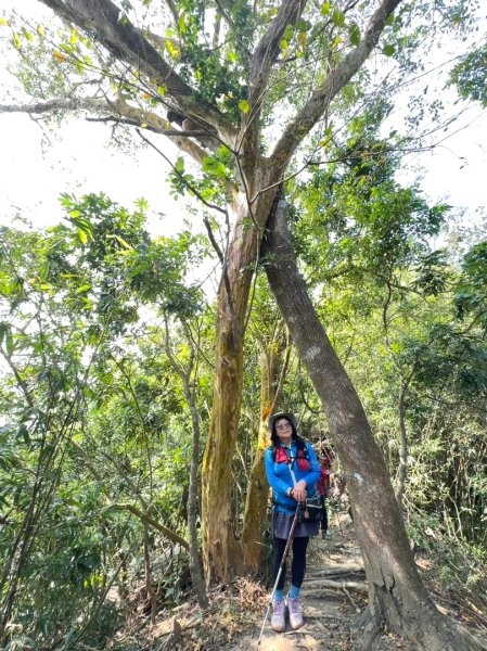 烏山嶺水利古道順走竹高崙山3連峰2669919