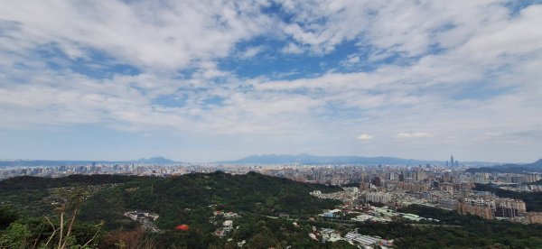 【小百岳16】三訪南勢角山+貓與土地公的故事2709740