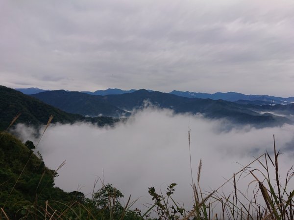 橫龍山、騰龍山（橫龍古道）1544717