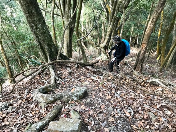 八仙山駐在所環走八仙山1251648