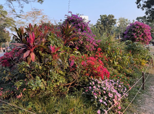 [茂名馬之行-12] 2026_0119 蓮花山公園2996933