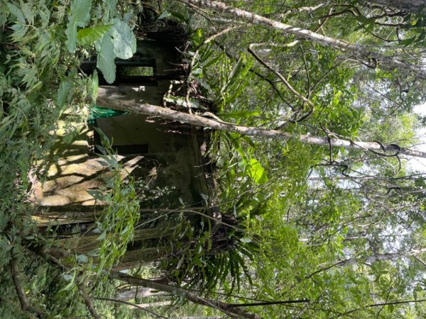 烏來阿玉溪山/西坑林道/探勘派出護管所彈藥庫遺址至獅坑橋2582033