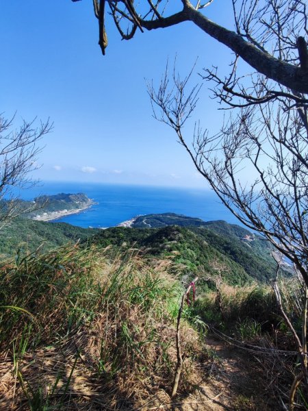 龍洞灣岬步道-蚊子坑山-北勢坑古道2981938