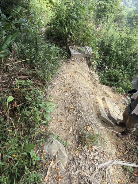 20251101烏山縱走北段 雲山寺至刣牛湖山(途經風空子山.孟璋山.烏山.刣牛湖山北峰)2928759