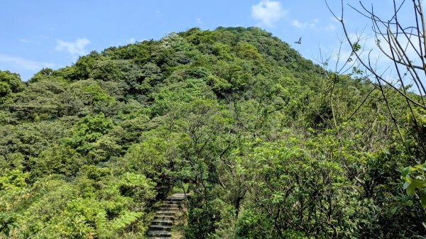 大尖山。走向2770857