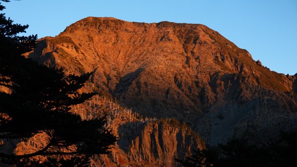 雪山黑森林直上甘木林山登雪主雪南過志佳陽下馬武霸兩日C型2758153