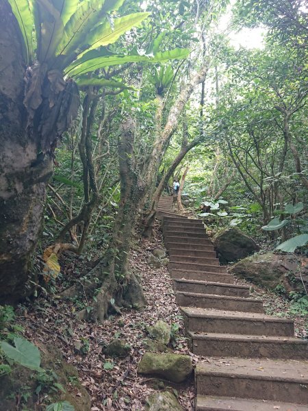 龜山島登頂-環湖-繞島1081207