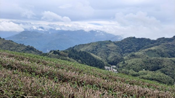 20240523嘉義梅山梨子腳山-太平老街-太平雲梯吊橋2511305