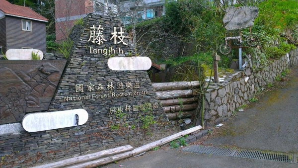 東藤枝山封面