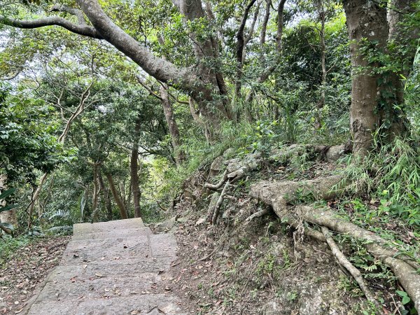 觀音山、尖山（占山）登山步道2151252