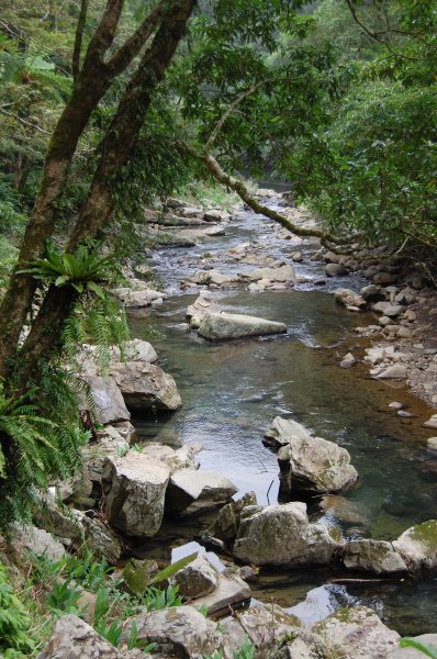 坪林金瓜寮溪步道1957853