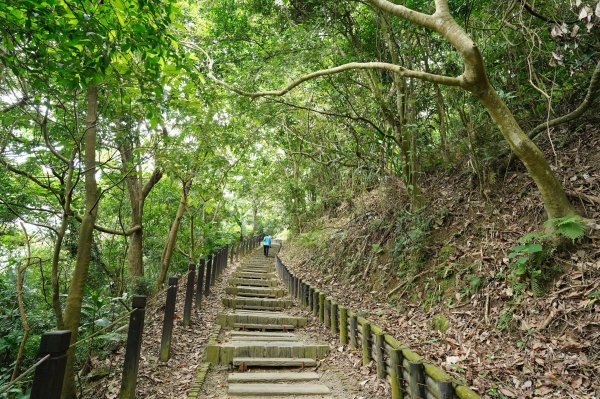 臺中 太平 三汀山、埤頭山2638047