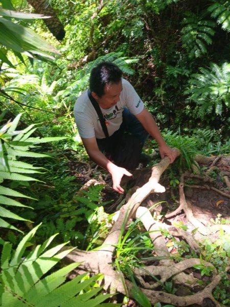 百大步道：蘭嶼大天池步道2806891
