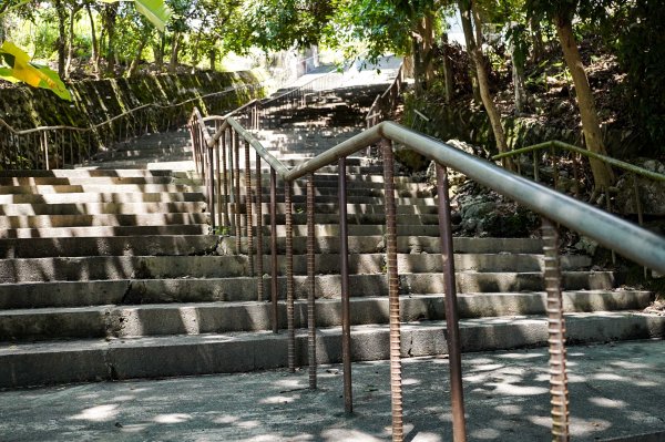 大崗山步道｜小百岳2812767