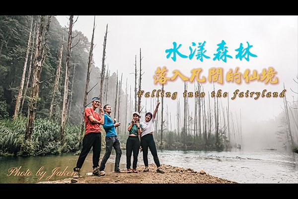 水漾森林 🌿 雨後之美：水霧、倒影與森林的私語