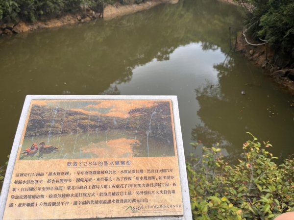 台北 內湖 白石湖吊橋 大崙頭山2138879