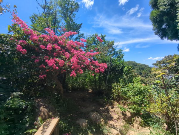 2025.09.21－微笑山線：【鳶山山系】鳶山彩壁段2898700