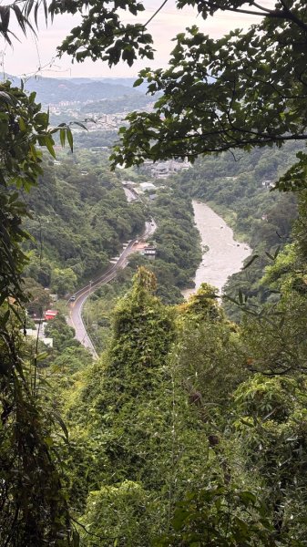 大雨後🙄2845392