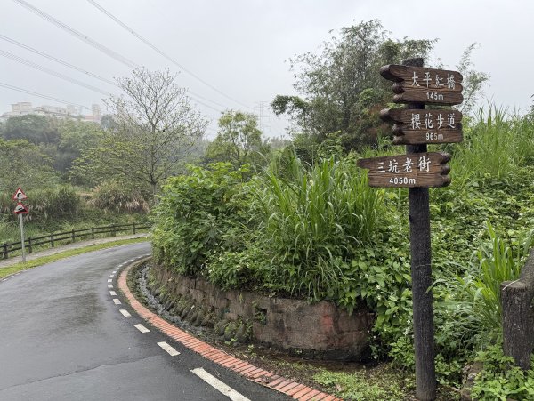 [樟之細路_第一大段RSA01] 2026_0329 三坑子自行車道3026681