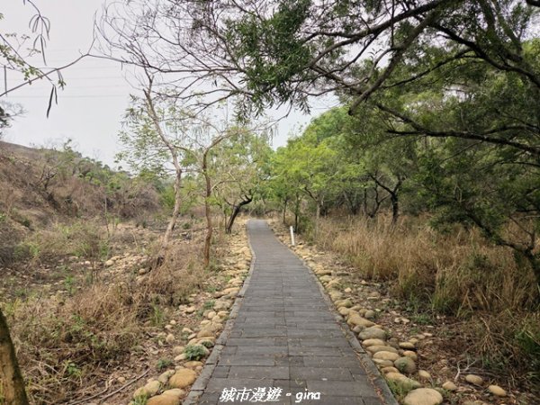 【台中龍井/大肚】竹坑南寮登山步道x瑞井登山步道O繞3031251