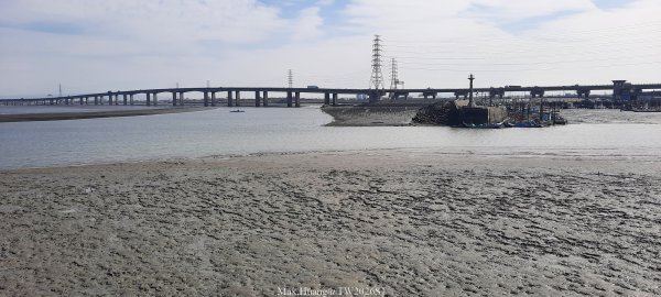 《彰化》海空夕照｜王功燈塔及芳苑海空步道健行賞冬候鳥202601102980240