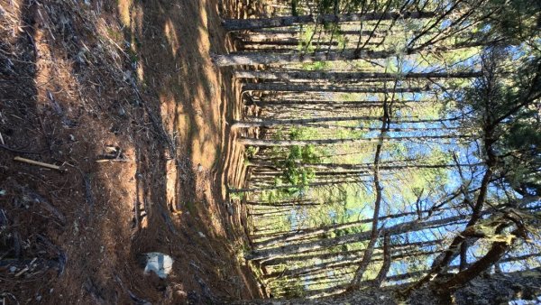 20251004-06戒茂斯嘉明湖2914187