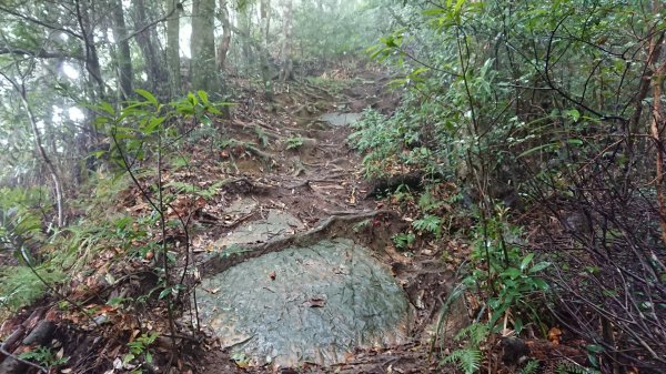 蓮包山-外鳥嘴山-鴛鴦谷瀑布O型1129277