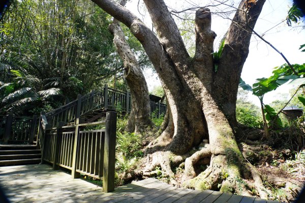 新竹 峨嵋 猿山、六寮山、玖玖山、獅頭山、獅尾山3012146