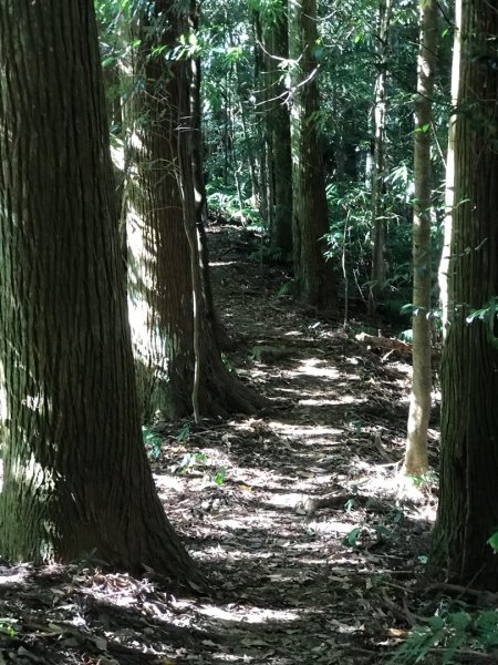 南庄賽夏族部落名山490051